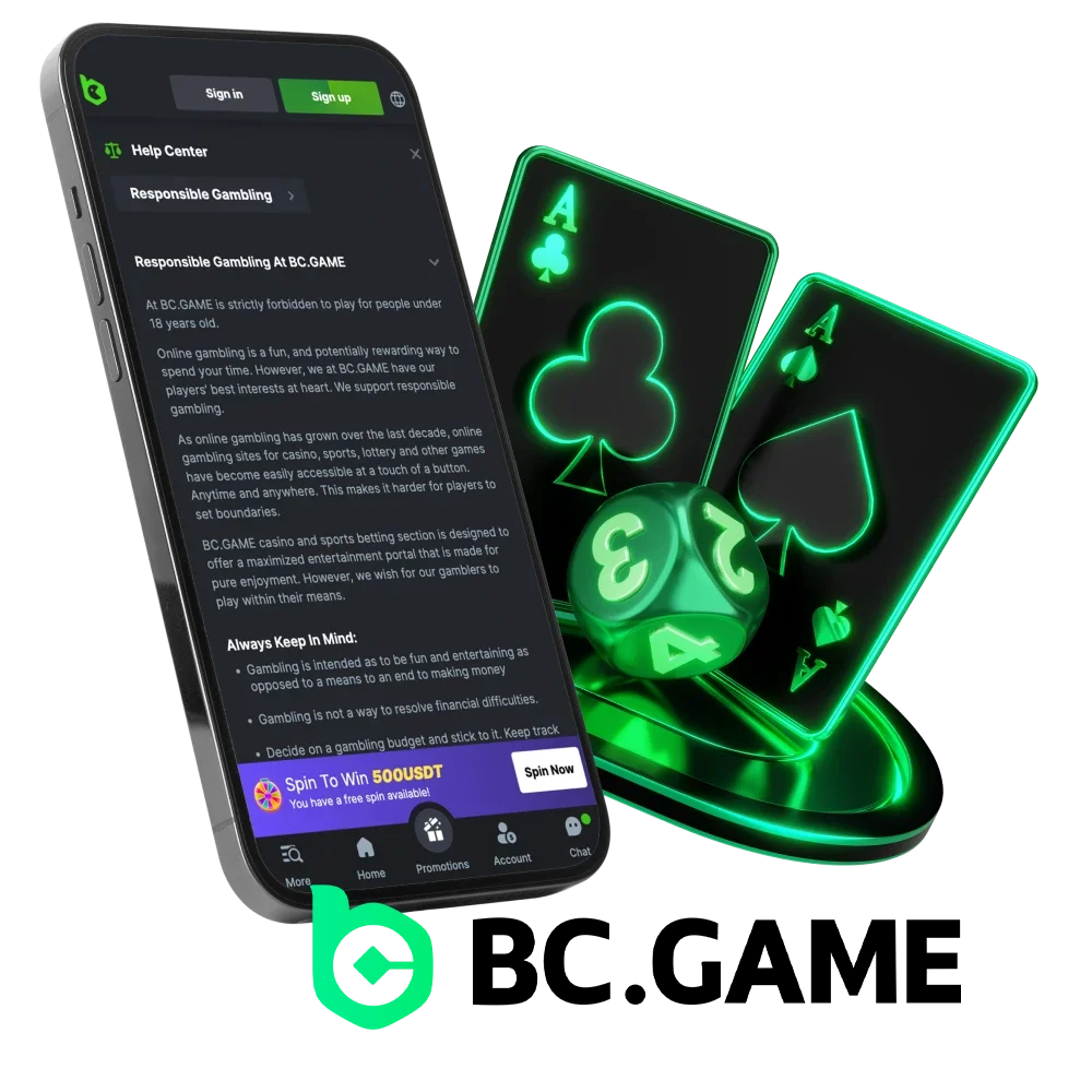 Does BC Game Casino in India provide security to its players.