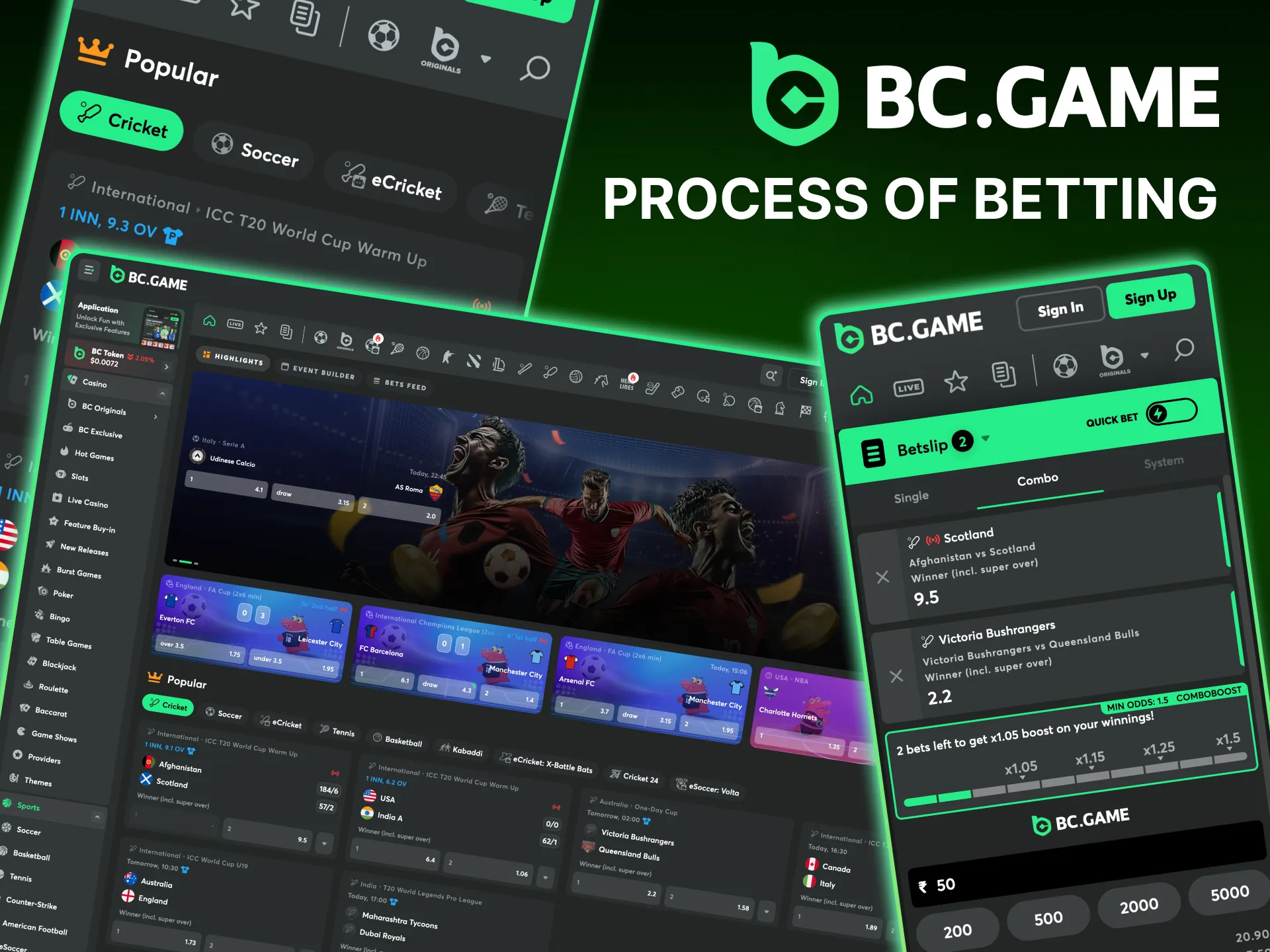 Step-by-step instructions on how to place a bet on the BC Game website.